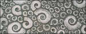 Ammonite pavement outside the Philpot museum at Lyme Regis
